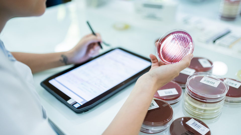 bioptima-laboratoire-de-vezeronce-curtin-0007